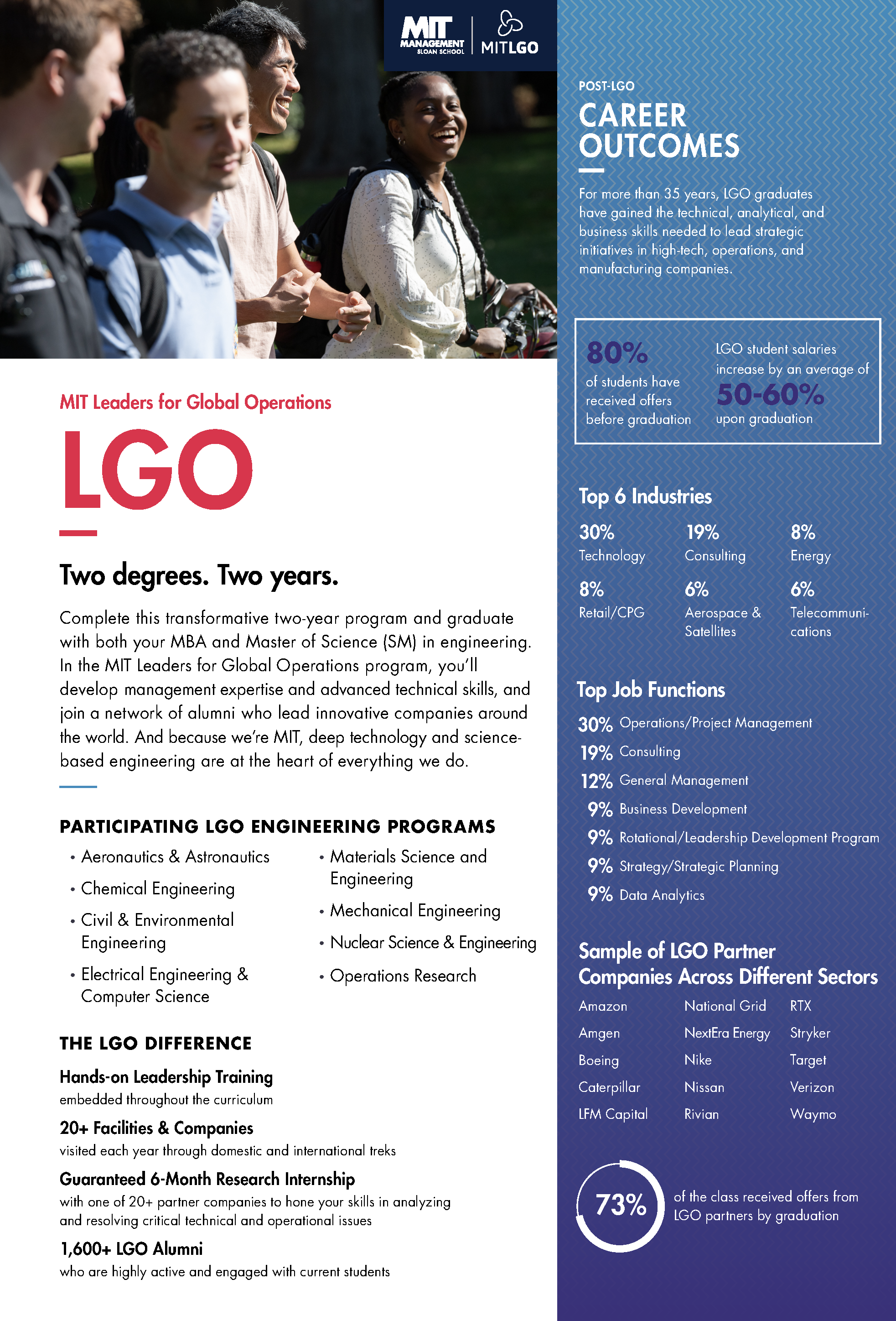 LGO Factsheet preview